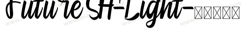 Future SH-Light字体转换